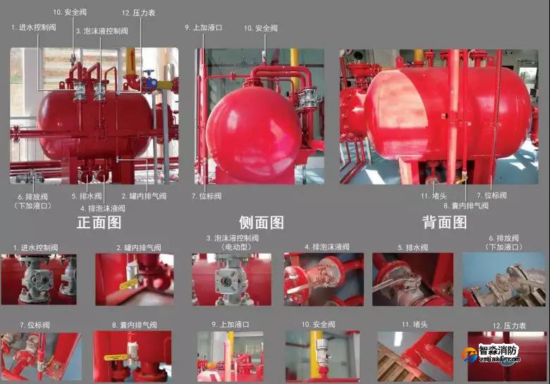 1644299062179342.jpg 14.jpg